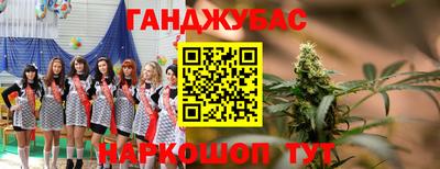 гидра Гагарин