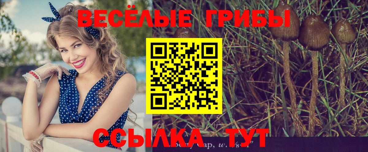 Псилоцибиновые грибы Cubensis  Вход с VPN  Галлюциногенные грибы GOLDEN TEACHER  наркота  Омск 