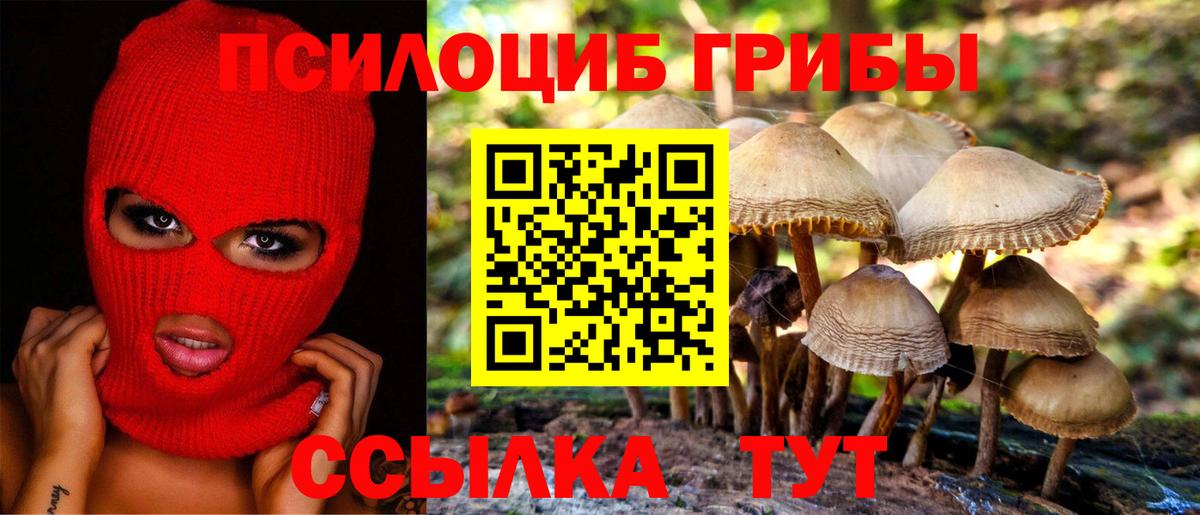 Псилоцибиновые грибы мухоморы Омск